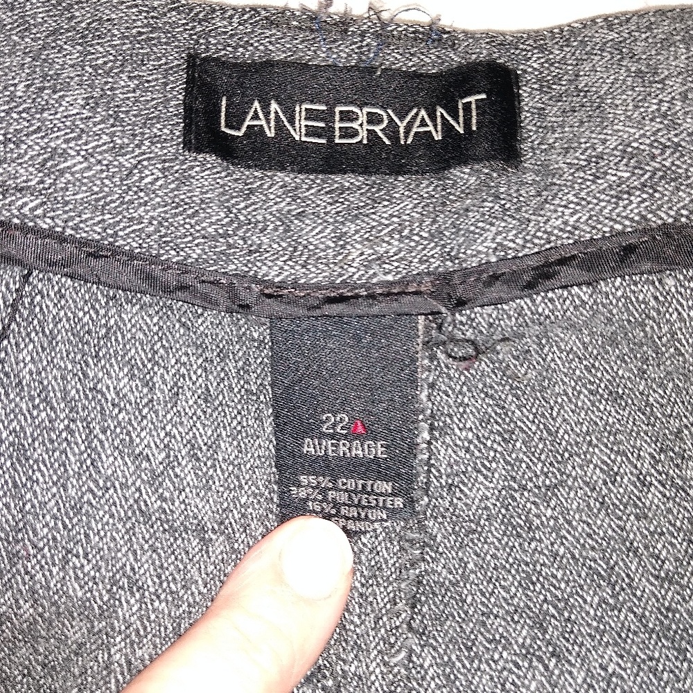Dress pants